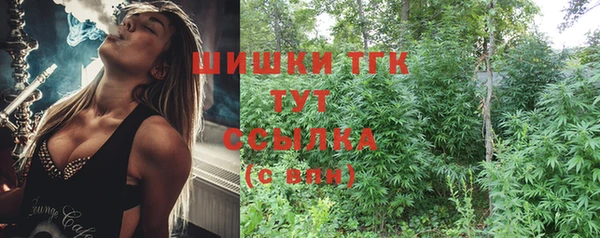 стафф Лабытнанги