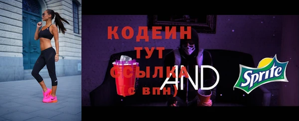 стафф Лабытнанги