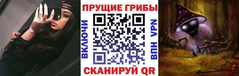 магазин Оренбург Галлюциногенные грибы GOLDEN TEACHER
