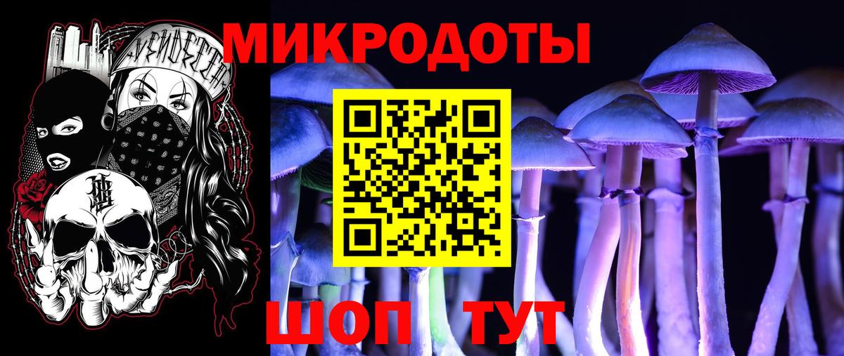 Галлюциногенные грибы Psilocybine cubensis  Вход с VPN  купить  цена  Оренбург  Псилоцибиновые грибы Psilocybe 